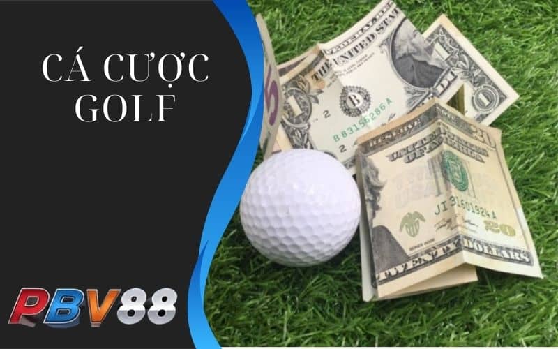 Cá cược golf có phần thưởng giá trị cao Cá cược golf có phần thưởng giá trị cao