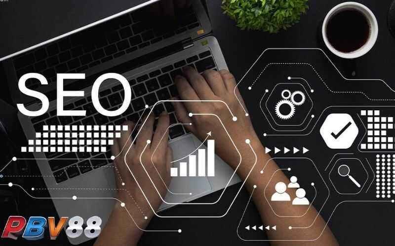 Tuyển dụng nhân viên SEO tại PBV88 phát triển website Tuyển dụng nhân viên SEO tại PBV88 phát triển website